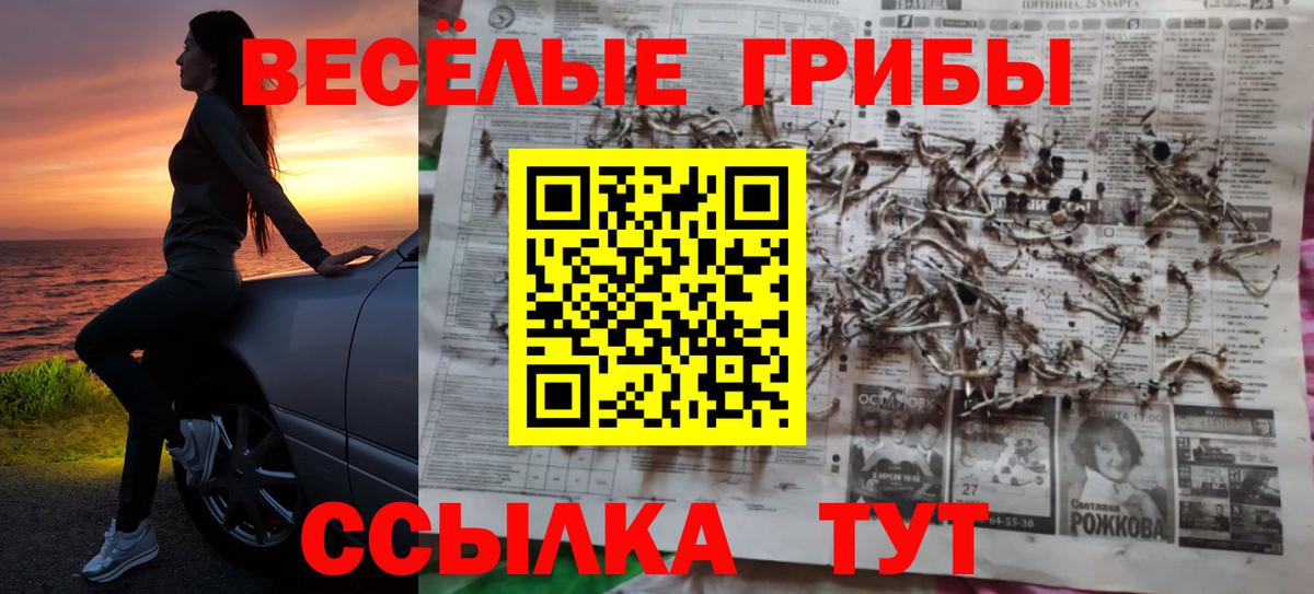 Нальчик  Псилоцибиновые грибы Psilocybe  Вход с VPN 